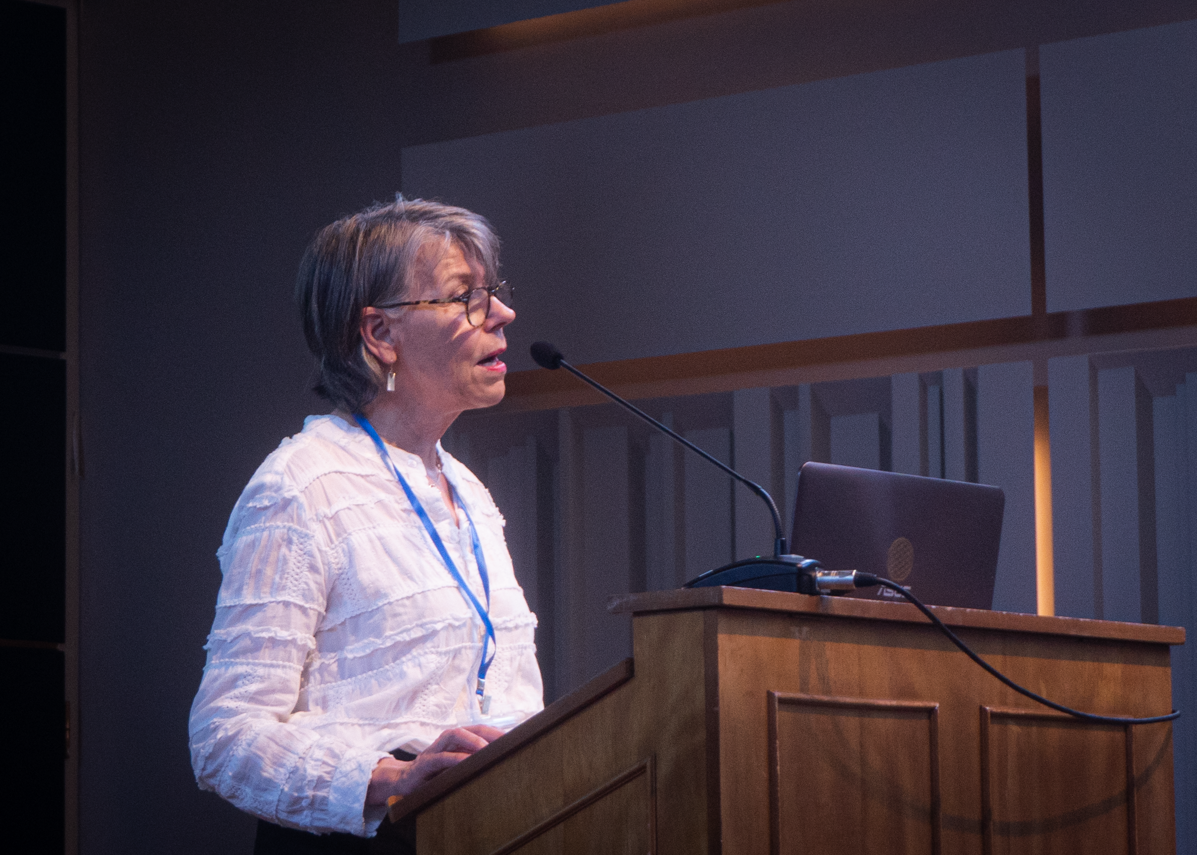 Catherine Delong, CM-Th, presenting "Music as Medicine at the End of Life" at IAMM 2022.
